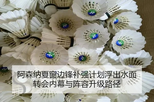阿森纳夏窗边锋补强计划浮出水面 转会内幕与阵容升级路径