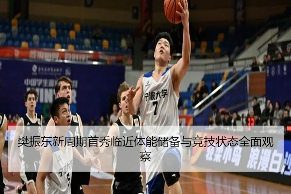 樊振东新周期首秀临近体能储备与竞技状态全面观察