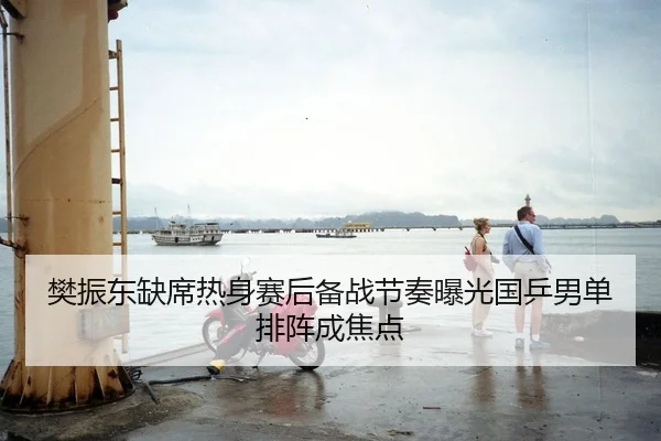 樊振东缺席热身赛后备战节奏曝光国乒男单排阵成焦点